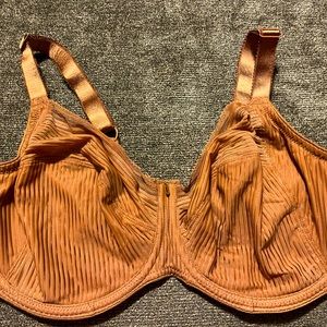 Fantasie bra size 36H